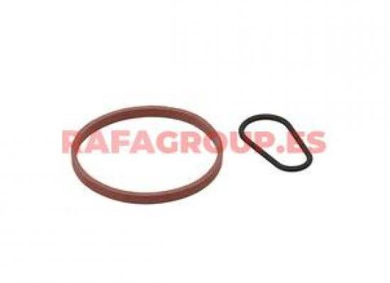 RG795110 - Kit de juntas, bomba de vacío